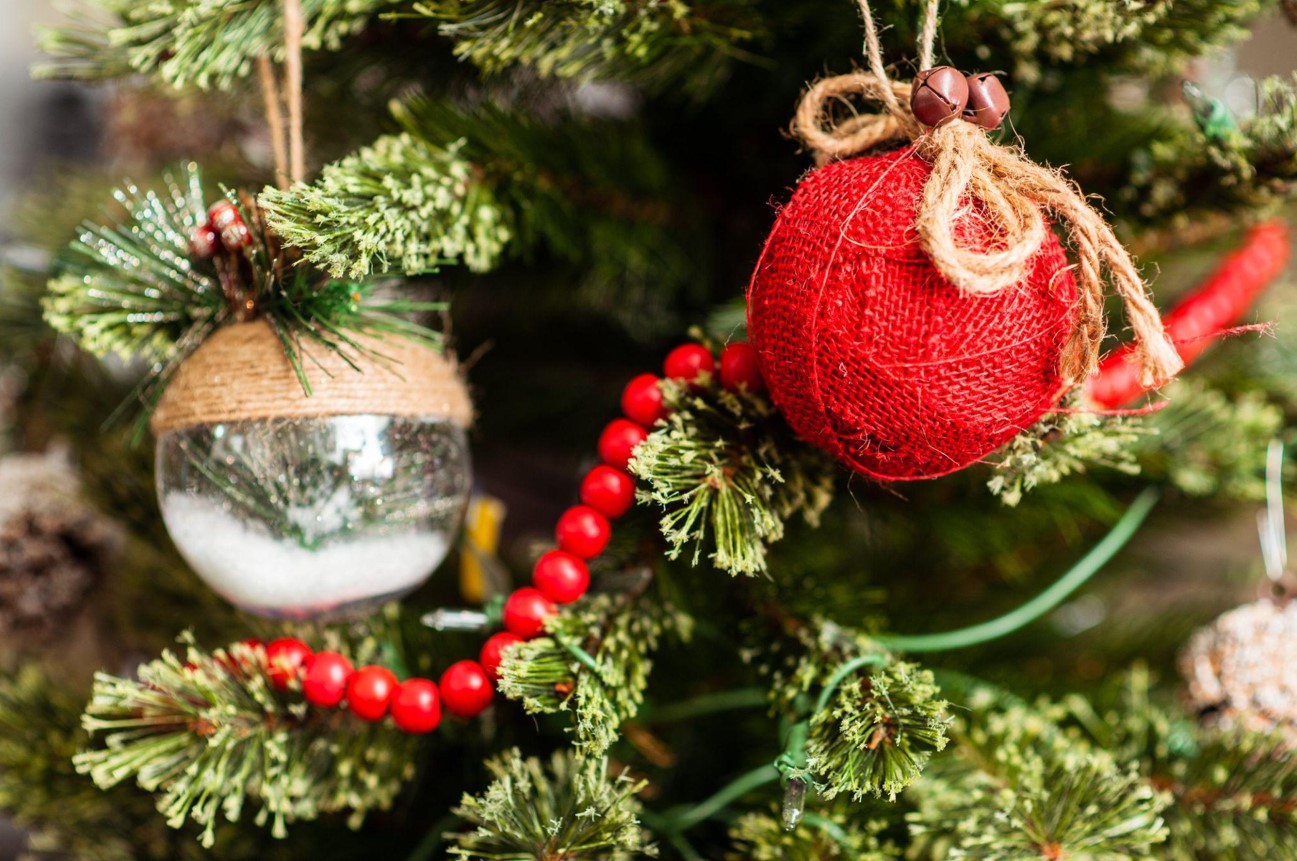 Find the Perfect Christmas Tree on Sale Today!
